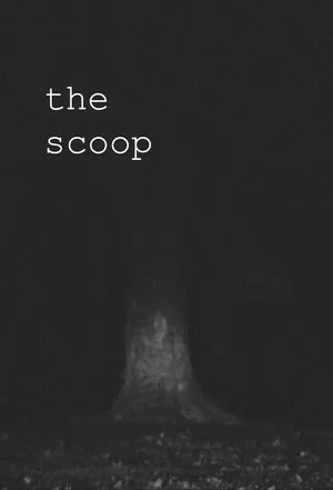 Постер: The Scoop
