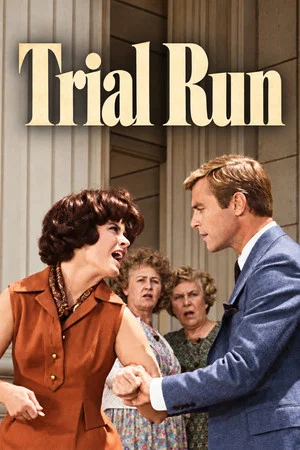 Постер: Trial Run