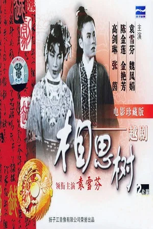 Постер: 相思树