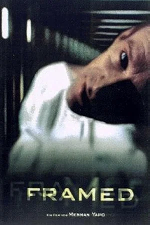 Постер: Framed