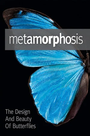 Постер: Metamorphosis: The Design and Beauty of Butterflies