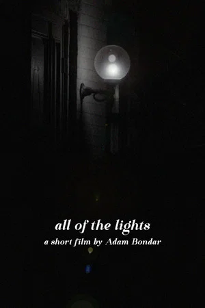 Постер: All Of The Lights