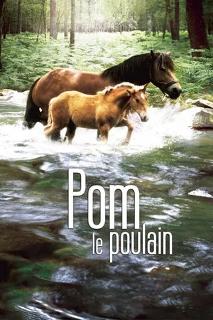 Постер: Pom, le poulain