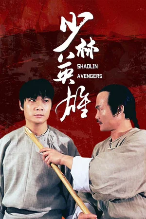 Постер: Kung Fu Kid
