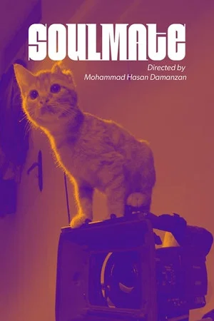 Постер: Soulmate