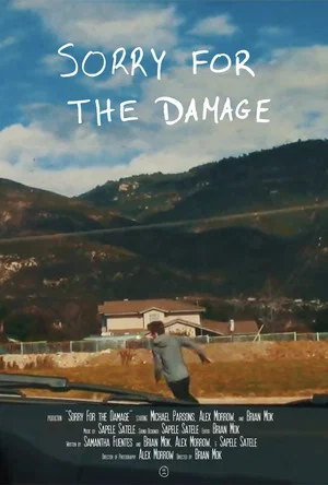 Постер: Sorry For the Damage