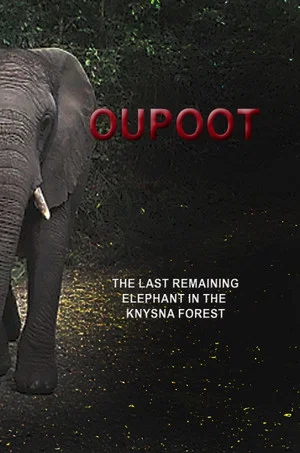 Постер: Oupoot