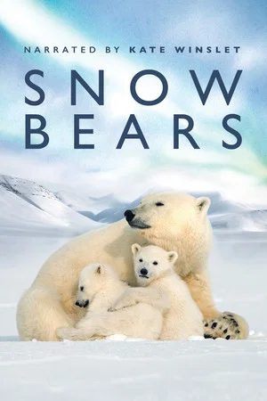 Постер: Snow Bears