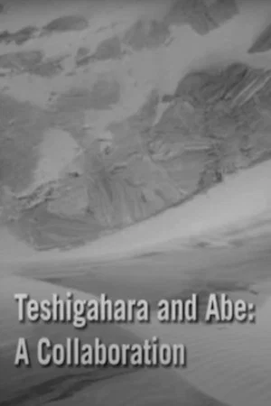 Постер: Teshigahara and Abe