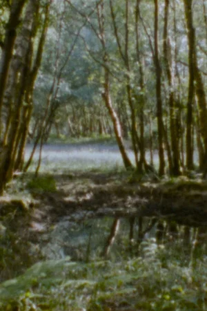 Постер: Landscape as Landscape - 29
