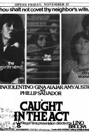 Постер: Caught in the Act