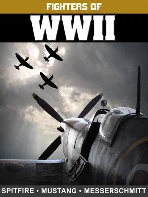 Постер: Fighters of WWII: Spitfire, Mustang, and Messerschmitt