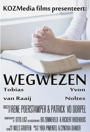 Постер: Wegwezen