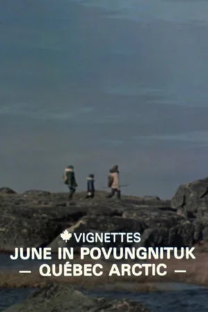 Постер: Canada Vignettes: June in Povungnituk - Quebec Arctic