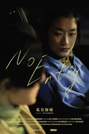 Постер: No Entry