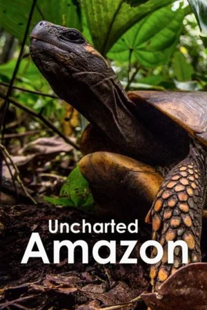 Постер: Uncharted Amazon