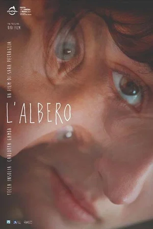 Постер: L'albero