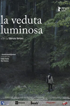 Постер: The Luminous View