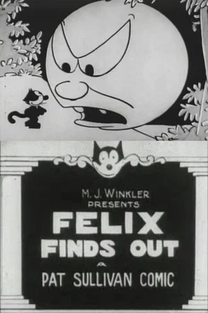 Постер: Felix Finds Out
