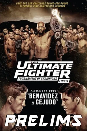 Постер: The Ultimate Fighter 24 Finale