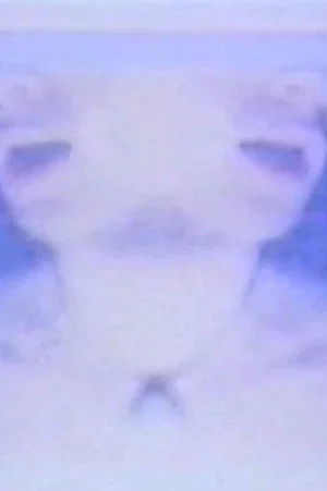 Постер: The Heavens