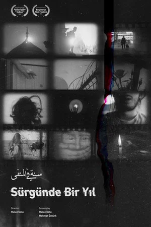 Постер: A Year in Exile