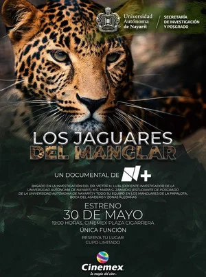 Постер: Los Jaguares del Manglar