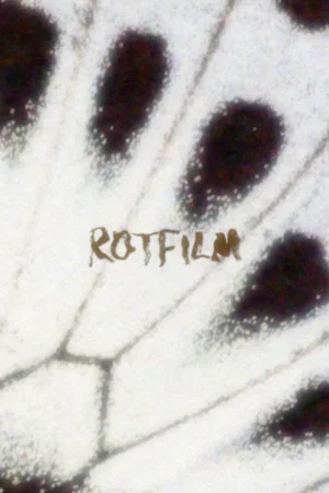 Постер: ROTFILM