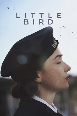 Постер: Little Bird