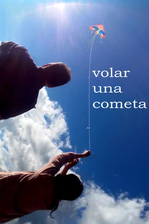 Постер: flying a kite