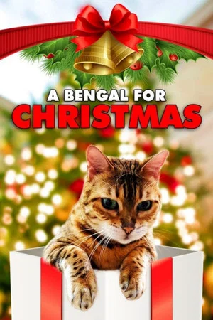 Постер: A Bengal for Christmas