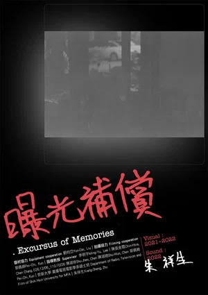 Постер: Excursus of Memories