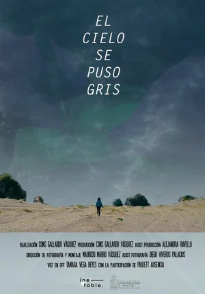 Постер: The Sky Turned Gray