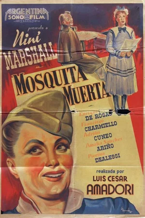 Постер: Mosquita muerta