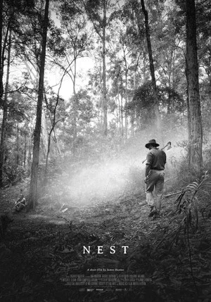 Постер: Nest