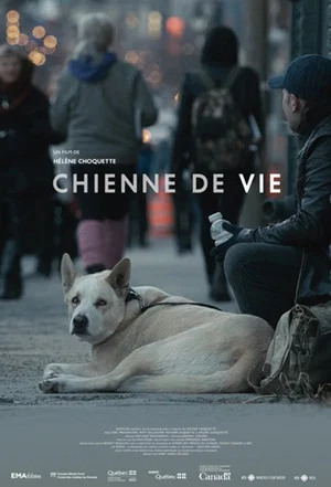 Постер: A Dog's Life