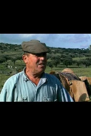Постер: The Keeper of Herds