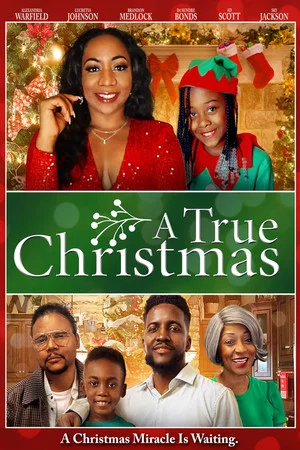 Постер: A True Christmas