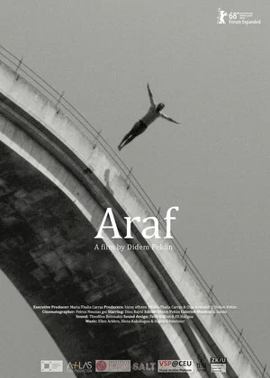 Постер: Araf