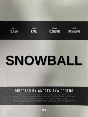 Постер: Snowball