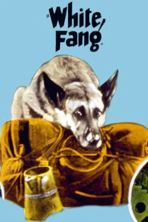 Постер: White Fang