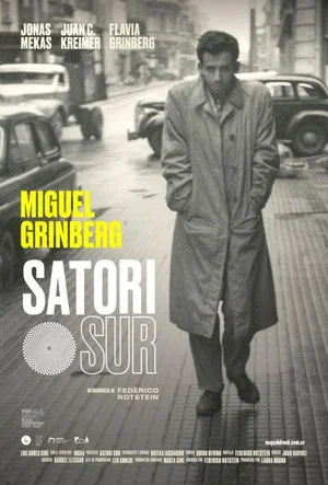 Постер: Satori Sur