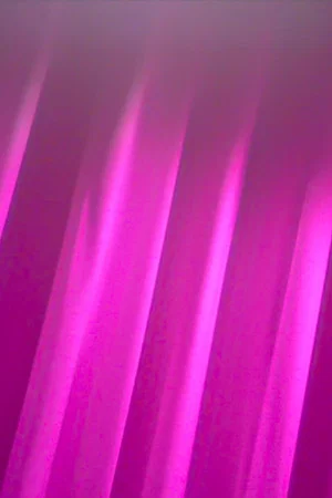 Постер: Blanco y fucsia