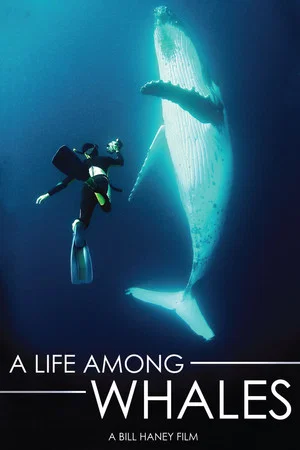Постер: A Life Among Whales