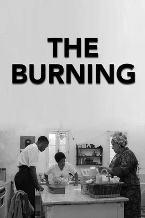 Постер: The Burning