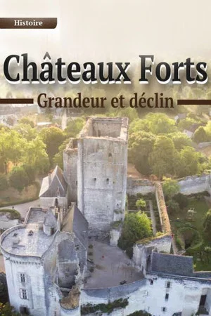 Постер: Châteaux forts : grandeur et déclin