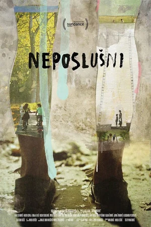 Постер: The Disobedient