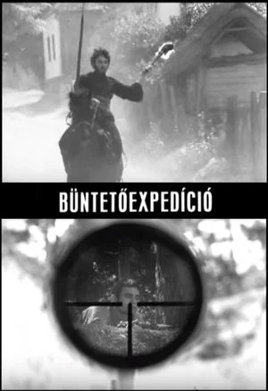 Постер: Punitive Expedition