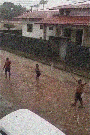Постер: Como as primeiras chuvas de caju
