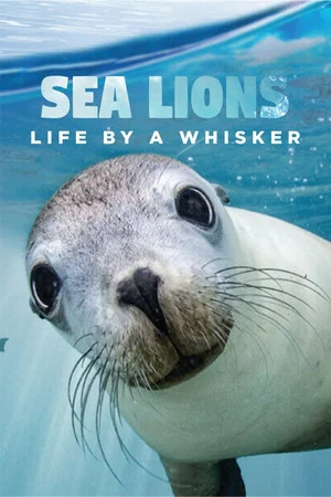 Постер: Sea Lions: Life By a Whisker